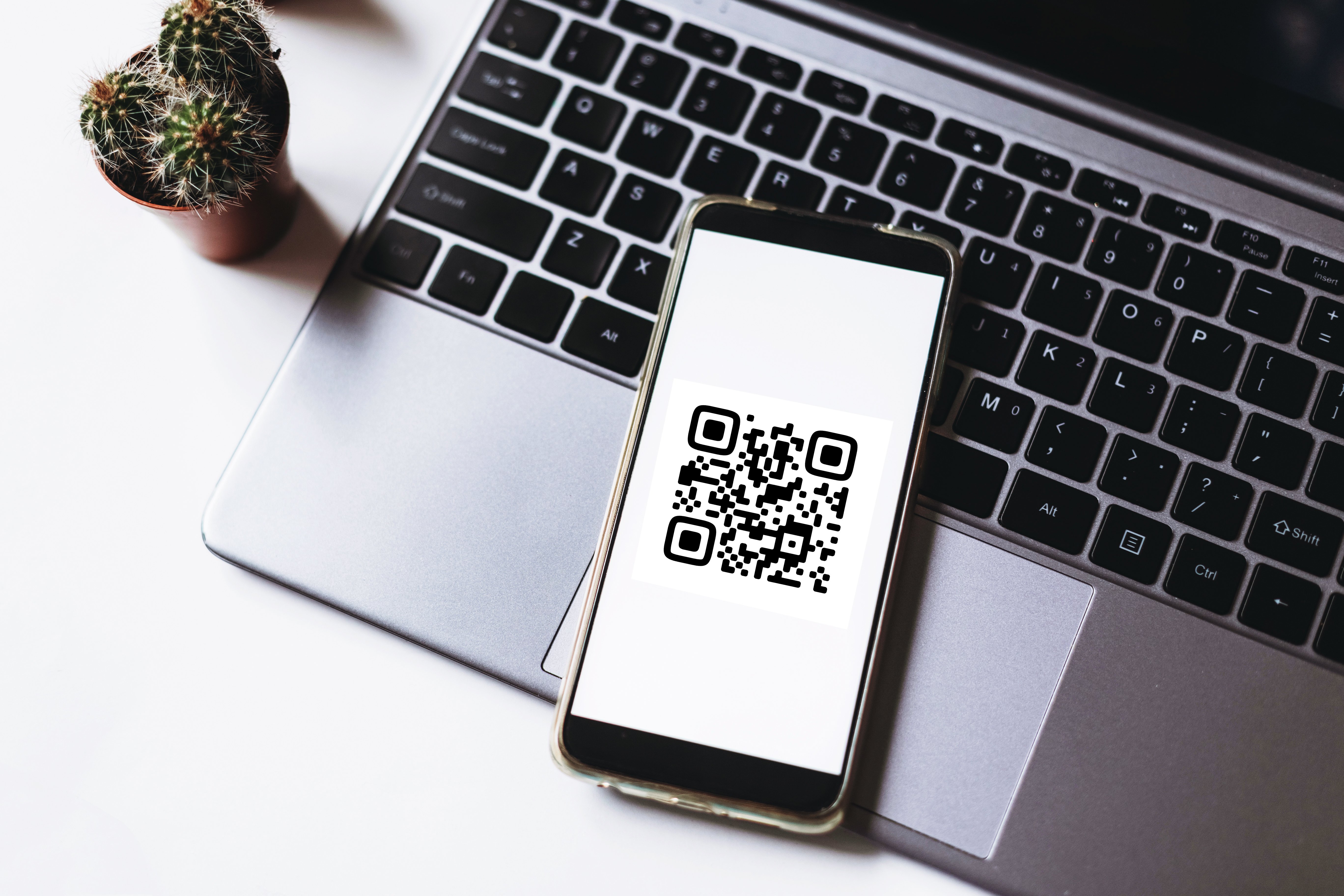 A smartphone displaying a QR code rests on a laptop keyboard, with a small cactus plant beside it.