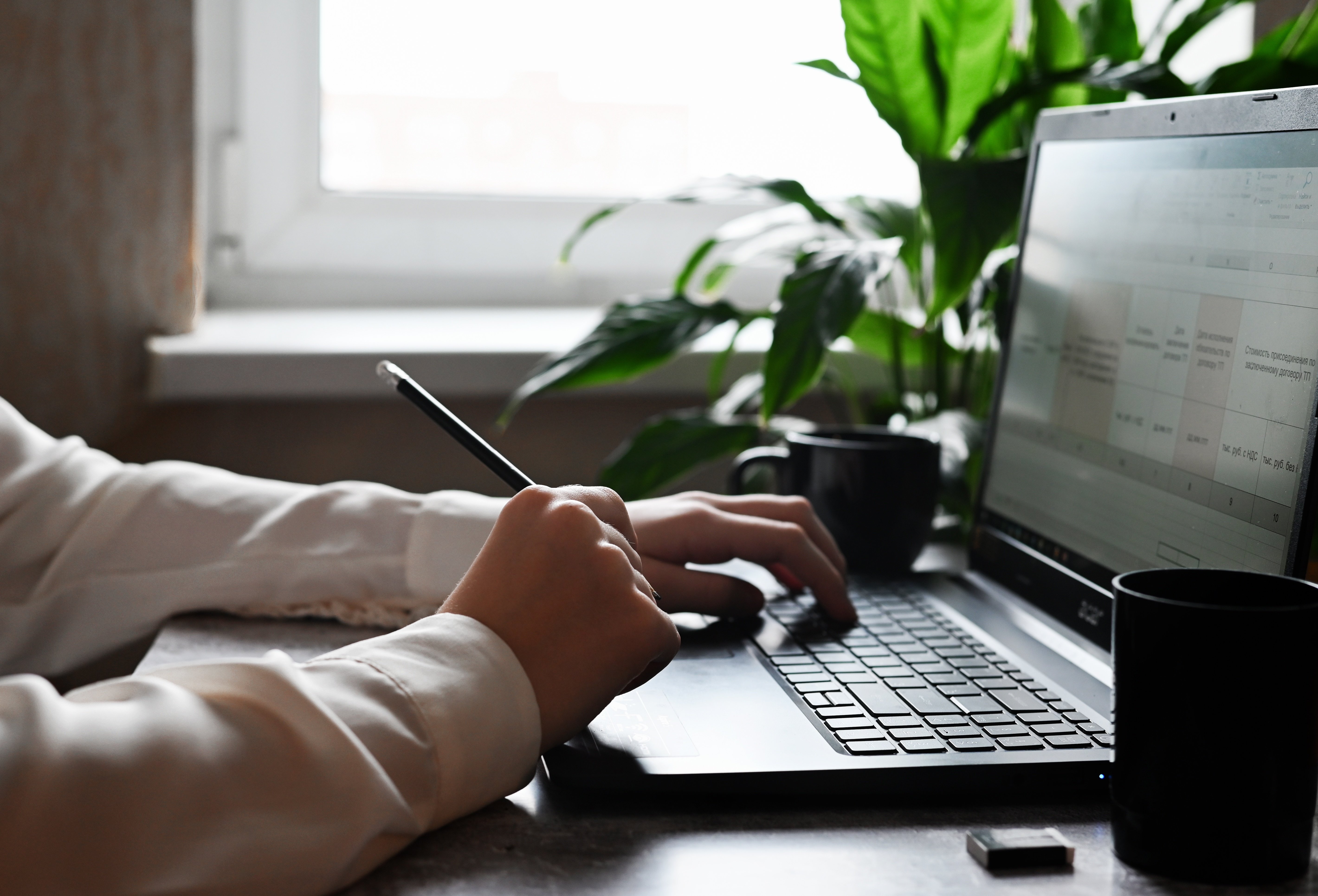 Person working on a laptop at a desk, holding a stylus with a plant and coffee mugs nearby.