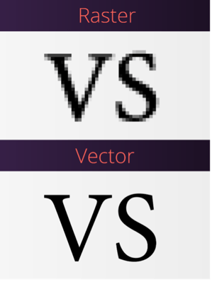 the difference between Raster and Vector